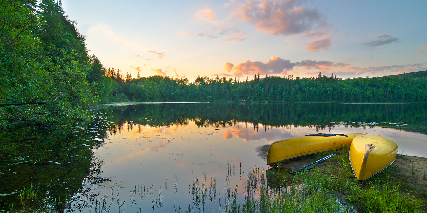Algonquin Provincial Park And Georgian Bay